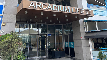 Arcadium Life 2